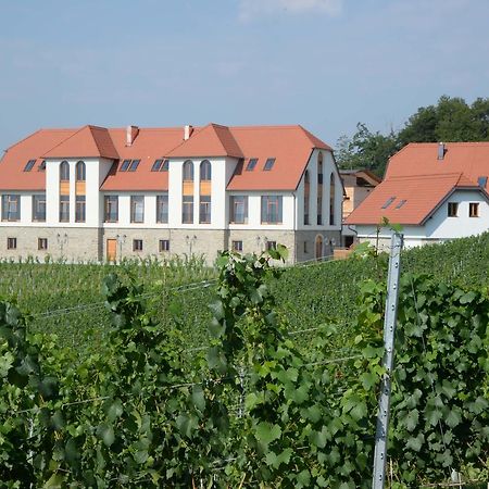 Hotel Weingut Taggenbrunn Sankt Veit an der Glan Exteriér fotografie