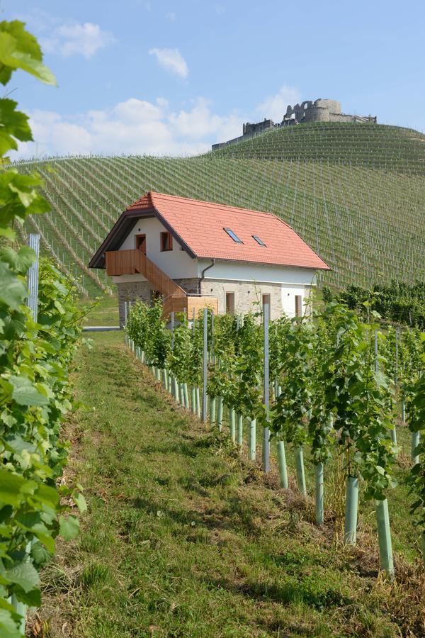 Hotel Weingut Taggenbrunn Sankt Veit an der Glan Exteriér fotografie