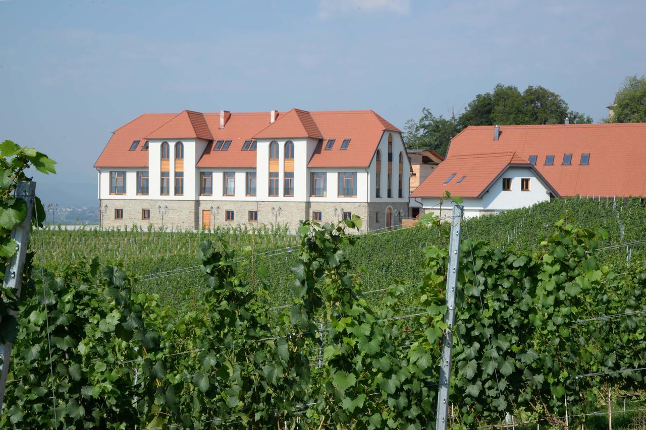 Hotel Weingut Taggenbrunn Sankt Veit an der Glan Exteriér fotografie