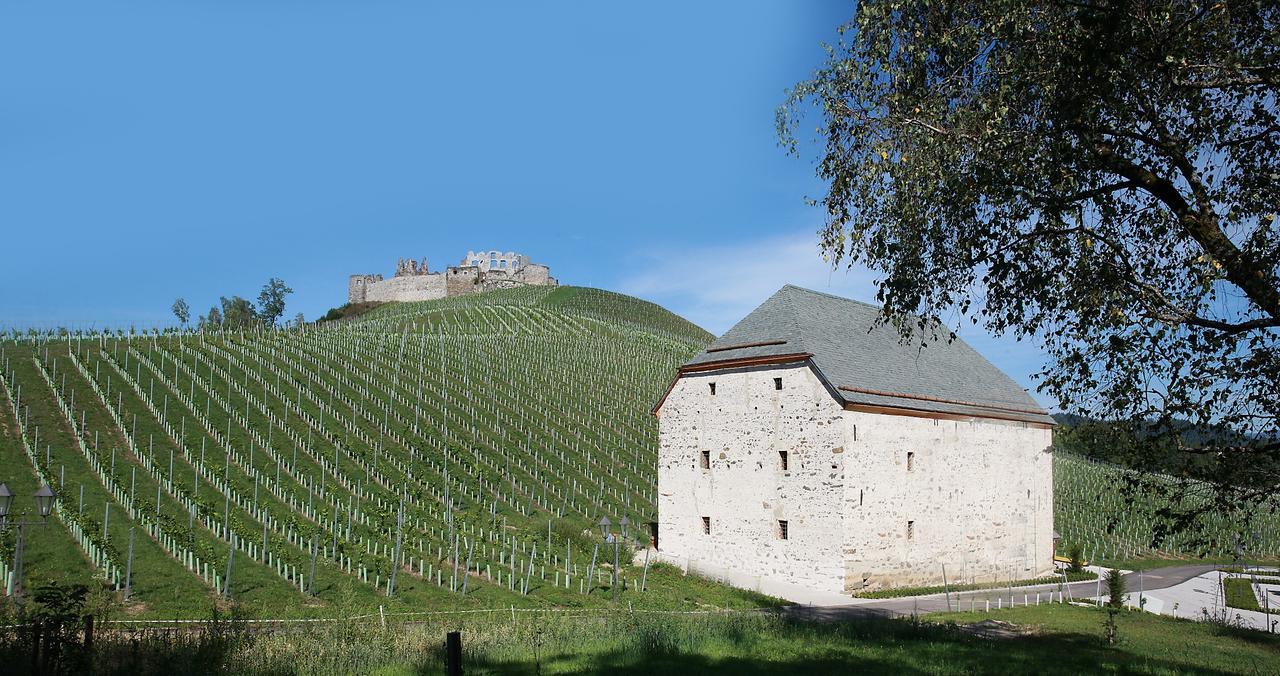 Hotel Weingut Taggenbrunn Sankt Veit an der Glan Exteriér fotografie