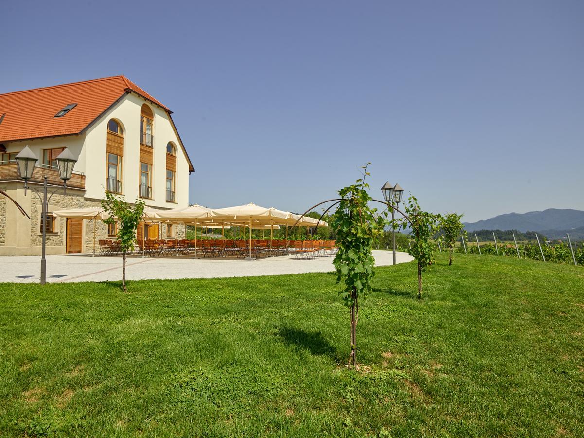 Hotel Weingut Taggenbrunn Sankt Veit an der Glan Exteriér fotografie