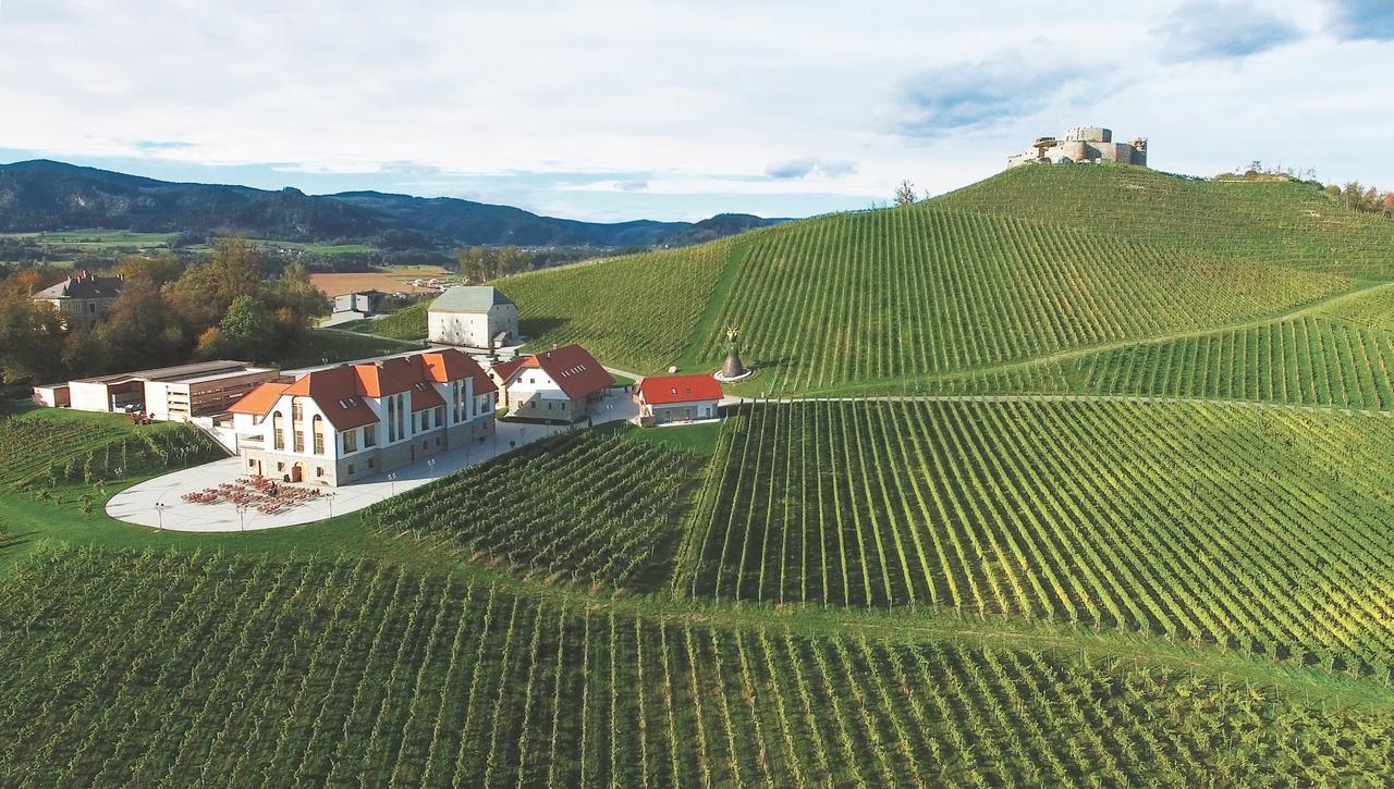 Hotel Weingut Taggenbrunn Sankt Veit an der Glan Exteriér fotografie