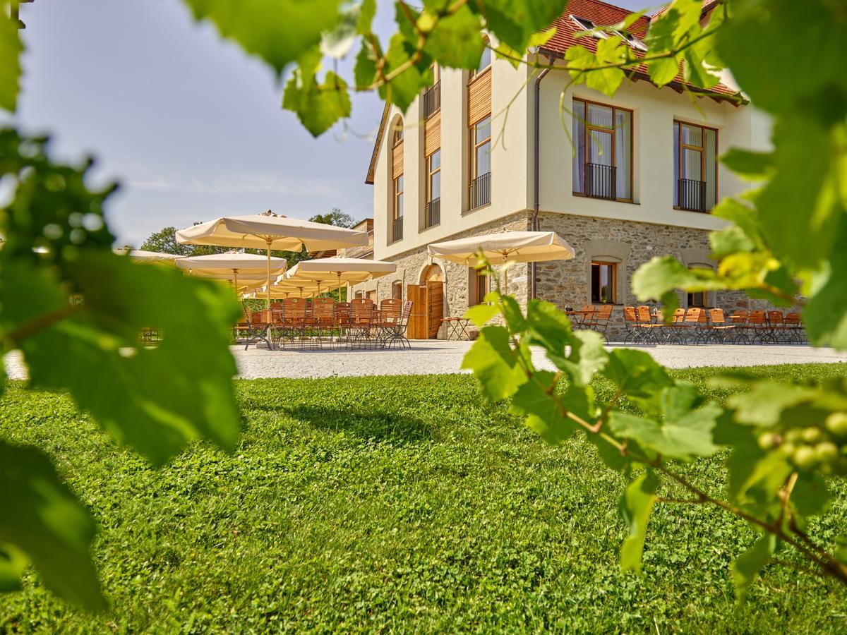 Hotel Weingut Taggenbrunn Sankt Veit an der Glan Exteriér fotografie