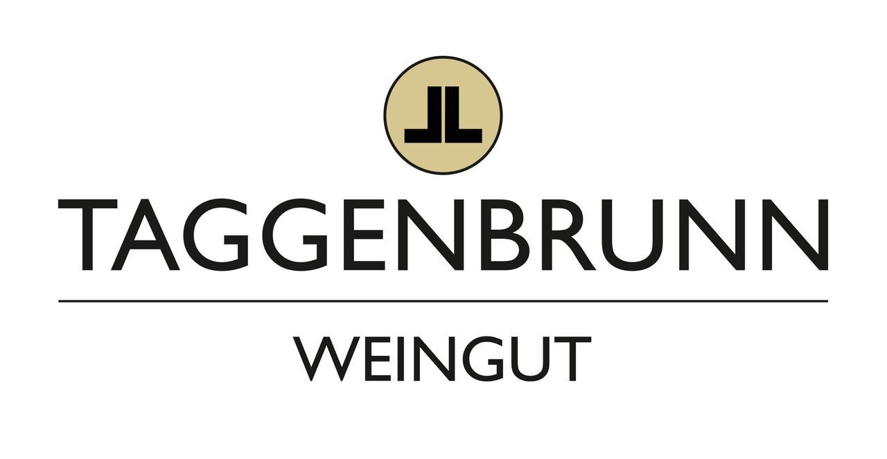 Hotel Weingut Taggenbrunn Sankt Veit an der Glan Exteriér fotografie